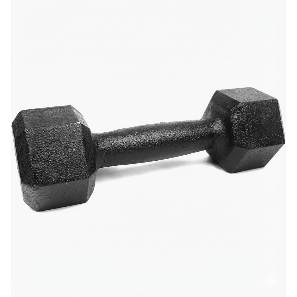 Halter Sextavado Pintado 6 a 10 Kg Unidade Treino em Casa Musculação Academia Crossfit Funcional