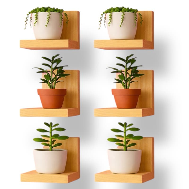 Kit Mini Prateleiras De Parede Pinus — Suporte 10X10 Para Plantas E Decorações