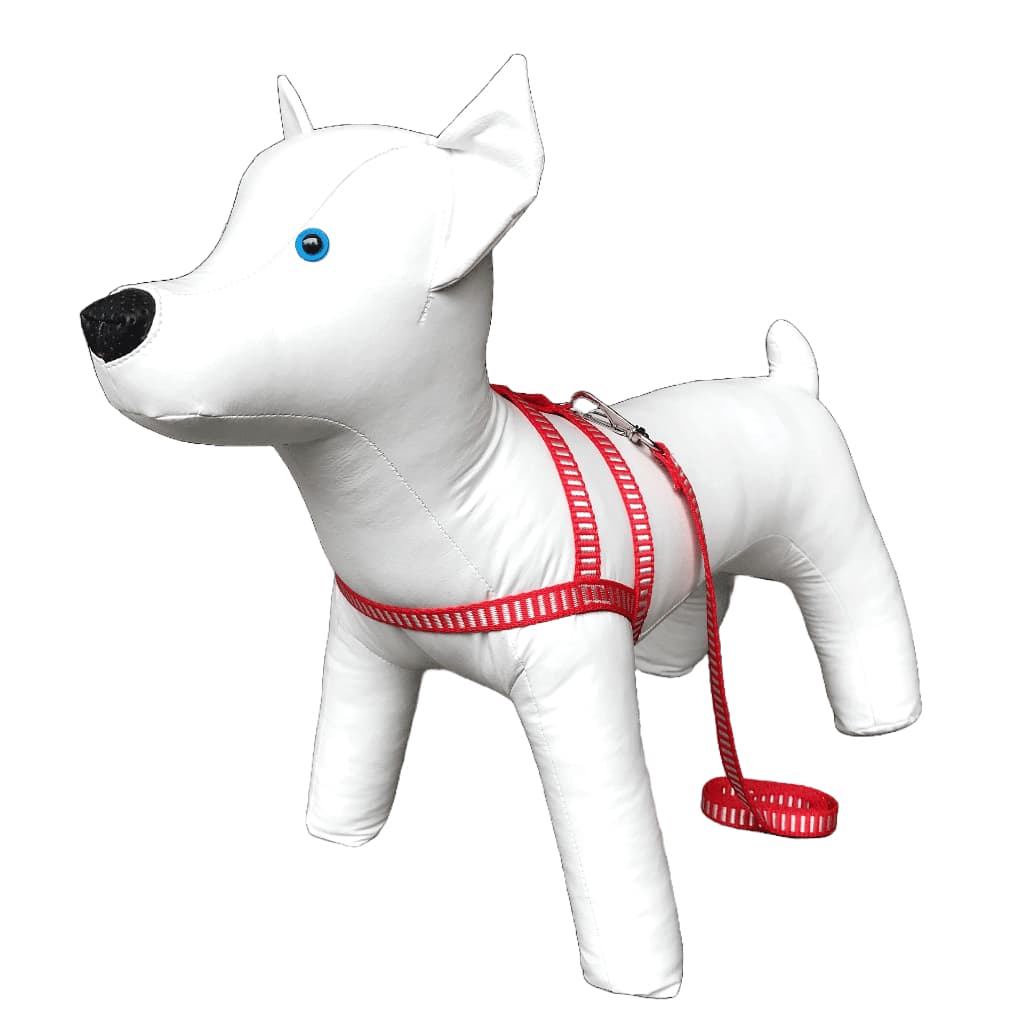 Conjunto Peitoral Com Guia De Nylon Bordado Para Cachorro Cão Porte Pequeno - Conforto E Estilo Pet