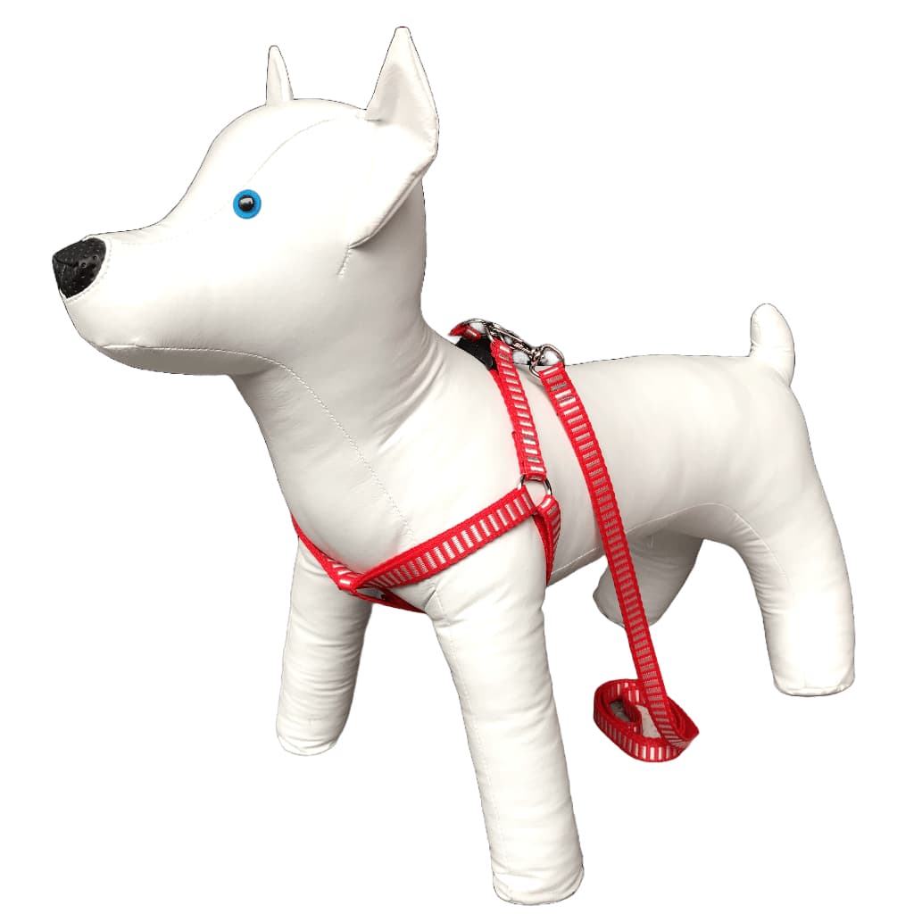Conjunto Peitoral Com Guia De Nylon Bordado Americano Para Cachorro Cão Porte Pequeno - Estilo Pet