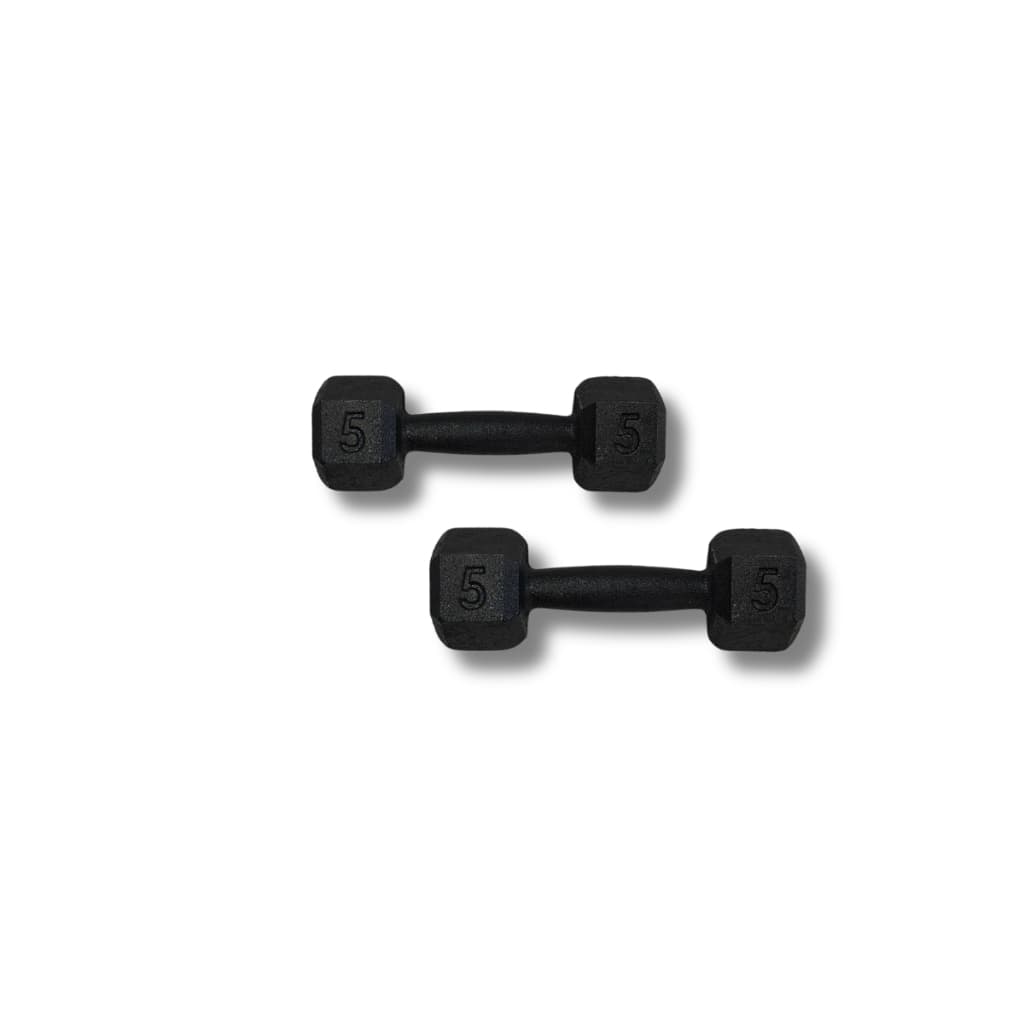 Par Halter 5 Kg Sextavado Pintado Academia Peso