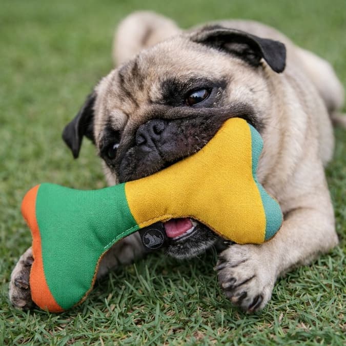 Kit Ossinho de Tecido para Pets Almofada Brinquedo para Cachorro e Gato