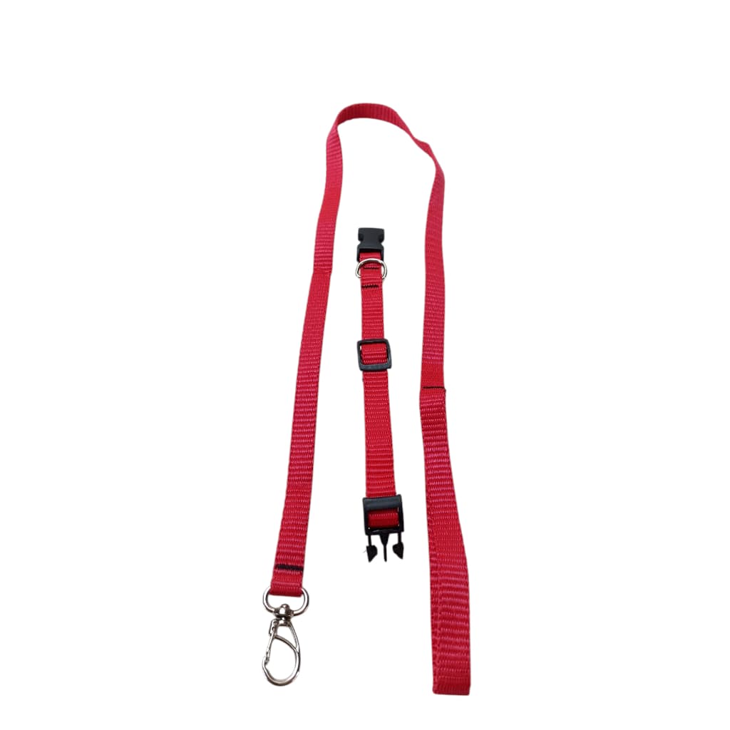 COLEIRA COM GUIA PARA ANIMAIS DE PORTE PEQUENO COLEIRA  PESCOÇO CONJUNTO COM A GUIA COLEIRA DE FEIXO