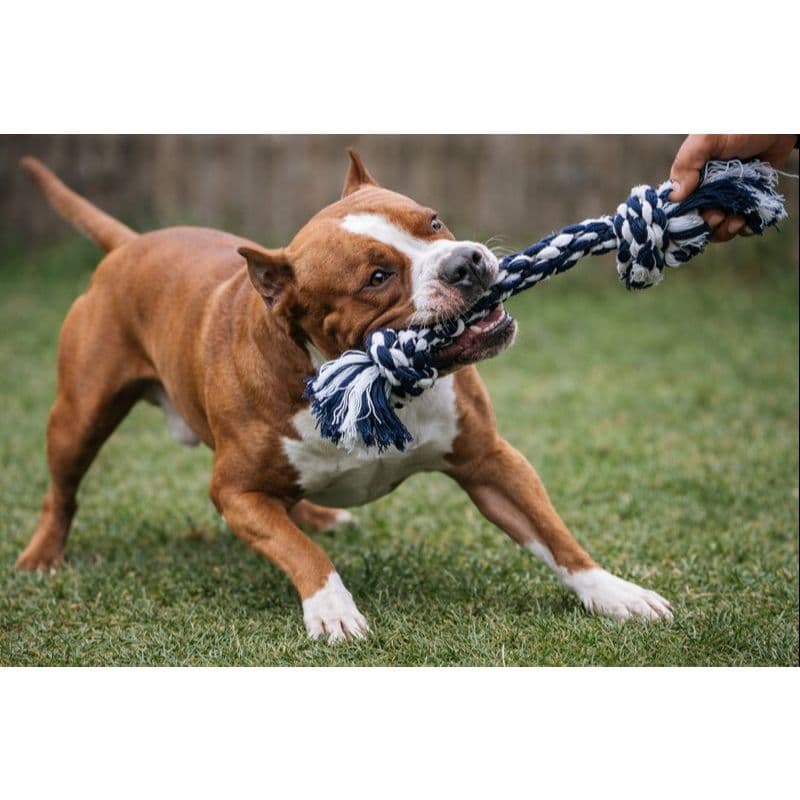 Brinquedo Pet Mordedor de Corda Dental Bone Extra Gigante para Cachorros