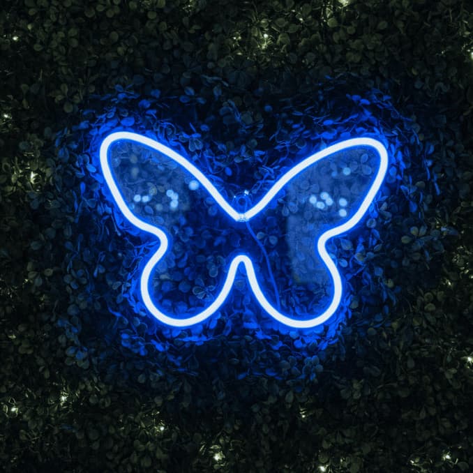 Luminária LED Neon Borboleta Luminoso Decoração Quarto Festa