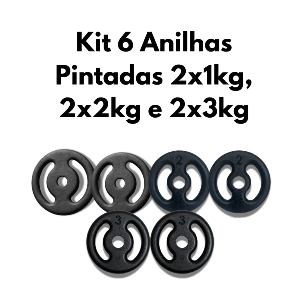 Kit 6 Anilhas 2x1kg, 2x2kg e 2x3kg Pintadas Musculação Treino Força Fitness Academia