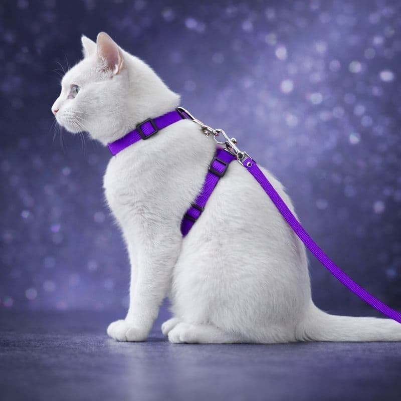 Coleira Peitoral com Guia gato pet ajustável para passeio