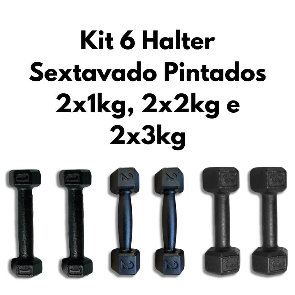 Kit 6 Halteres Sextavados Pintados 2x1kg, 2x2kg e 2x3kg Musculação Fitness Treino Funcional Academia Exercícios