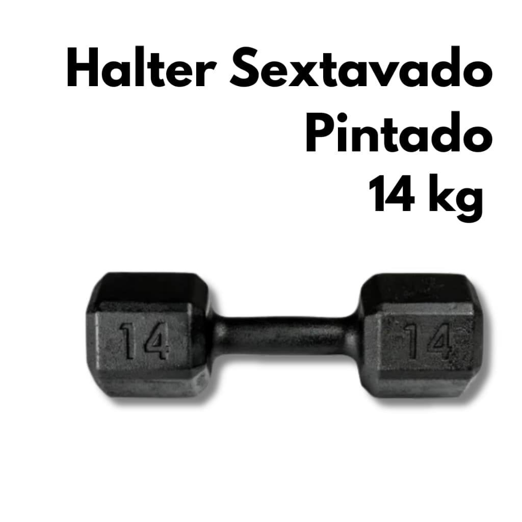 Halter Sextavado Pintado 14kg Treino de Força Musculação Academia em Casa