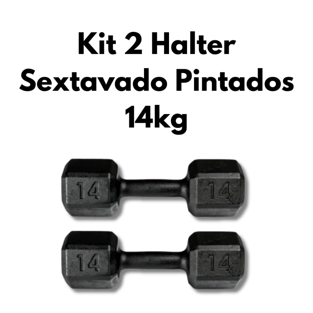 Kit 2 Halteres Sextavados Pintados 14kg Treino de Força Musculação Academia em Casa
