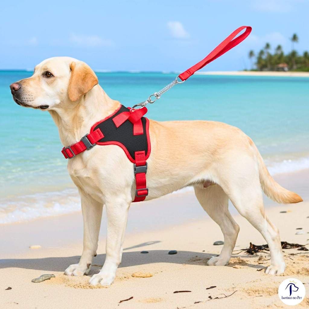 Coleira de passeio para cachorros grandes confortável com regulagens e guia amortecedor de impacto
