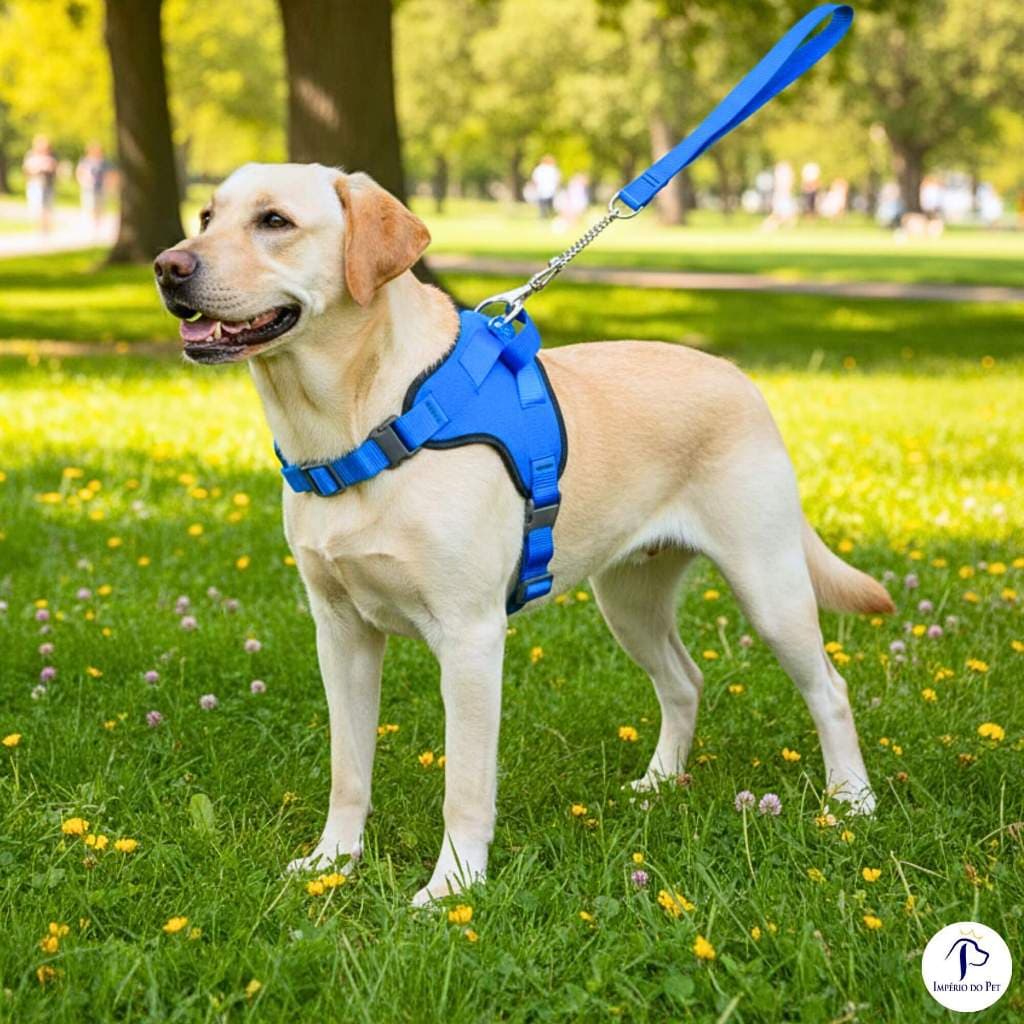 Coleira e guia peitoral california para cachorros grandes ajustrável estiloso azul com guia