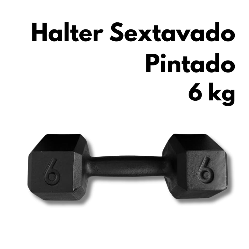 Halter Sextavado Pintado 6kg Musculação Treino Funcional Academia Casa Fitness Exercícios Força