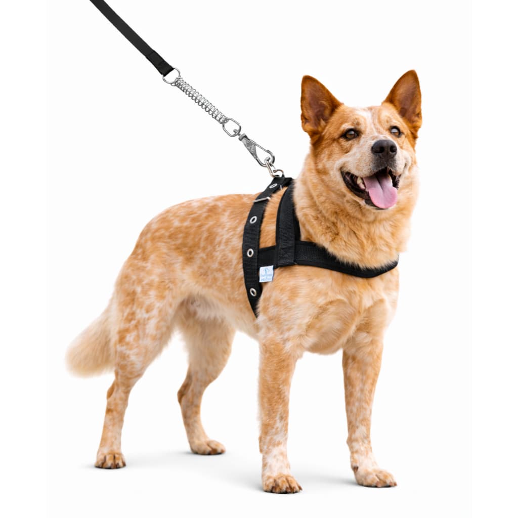Coleira Peitoral para Cachorros Grandes e Guia de Passeio Anti Impacto Peitoral Fita Coleira Pet