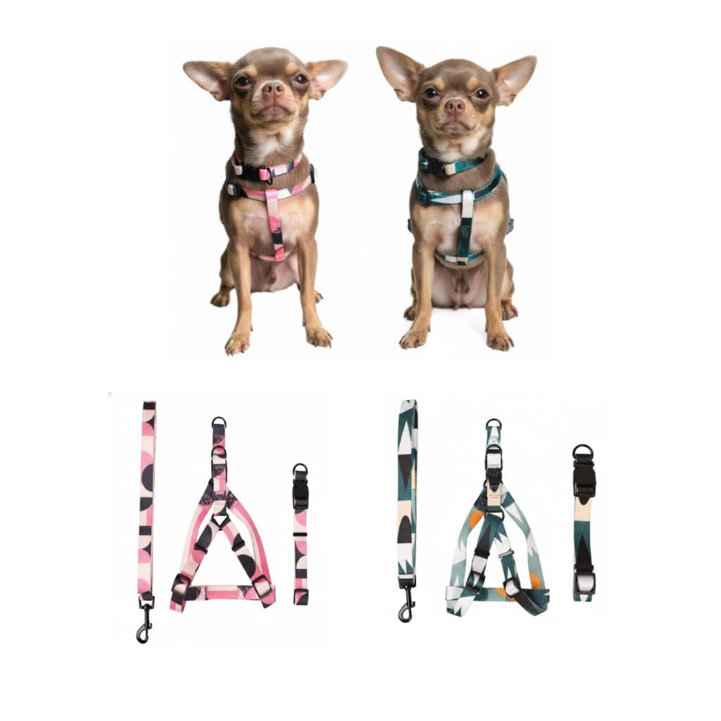 Coleira para Cachorro, Guia + Peitoral + Coleira Pescoço, Estilo Pet, Filhote, Raças Pequena e Micro