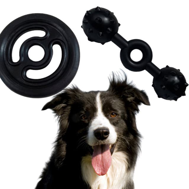 Kit 2 Brinquedos Maciços Mordedores para Cachorros Raças Médias e Grandes - Atóxicos