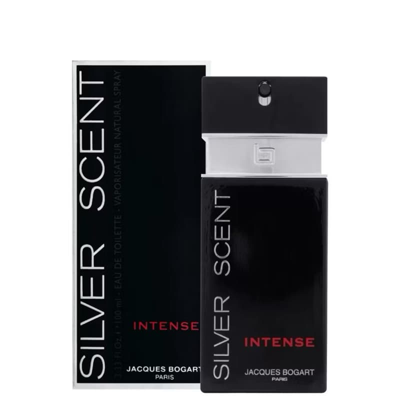 Silver Intense - Perfume Masculino Importado 100ml