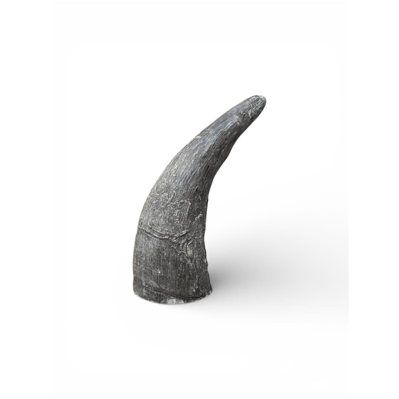 Chifre de Boi Bruto Natural – Ritualístico | Umbanda e Candomblé