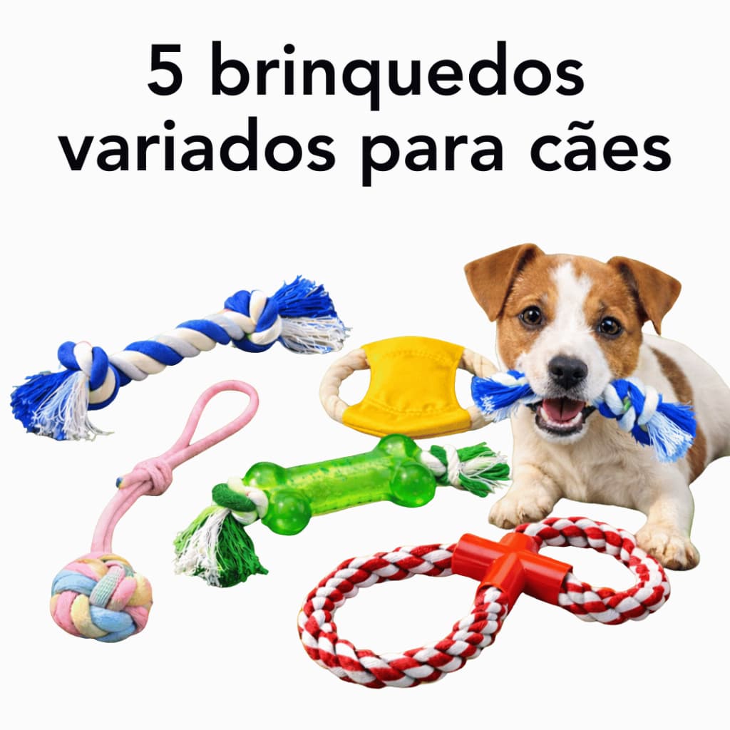 KIT 5 Brinquedos Pet Corda Resistente Interativo Cachorro Mordedores Bola - PET-15