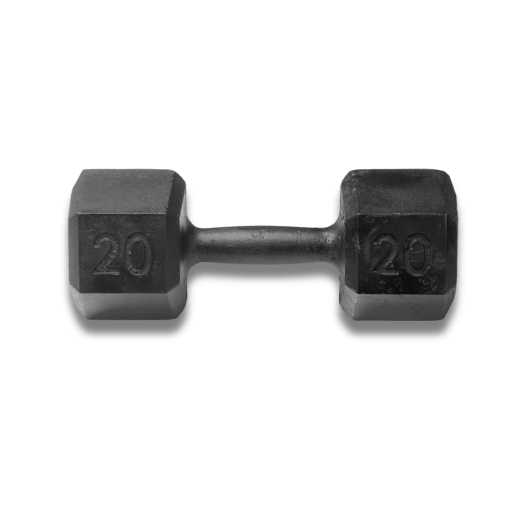 Halter Sextavado 20kg Pintado Peso Academia Fitness Musculação Casa Treinamento
