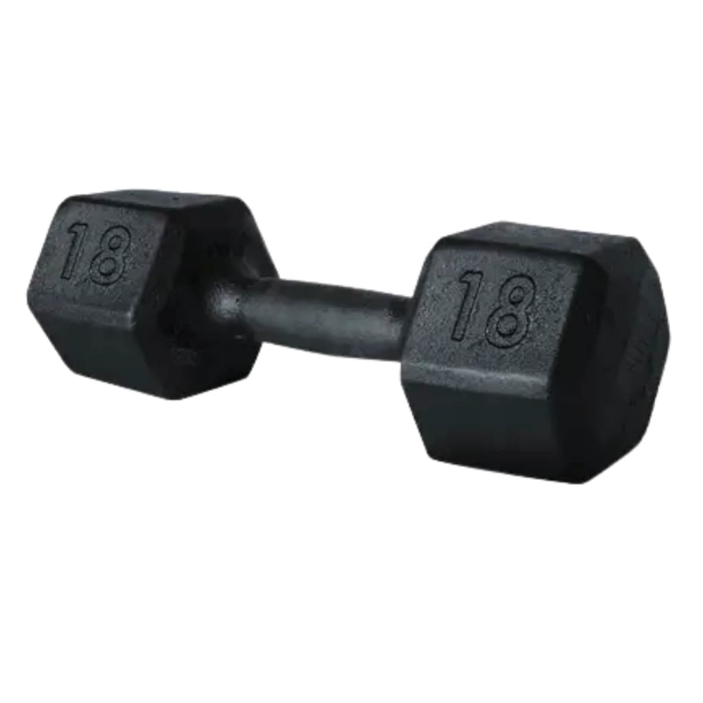 Halter Sextavado 18kg Pintado Peso Dumbbell Exercício Força Musculação Gym Pilates Fisioterapia Academia Em Casa