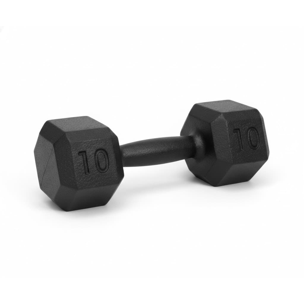 Halter 10Kg Musculação Academia Treino Peso Fitness Gym Exercícios Ferduor Físicos Esporte Fisioterapia Recuperação