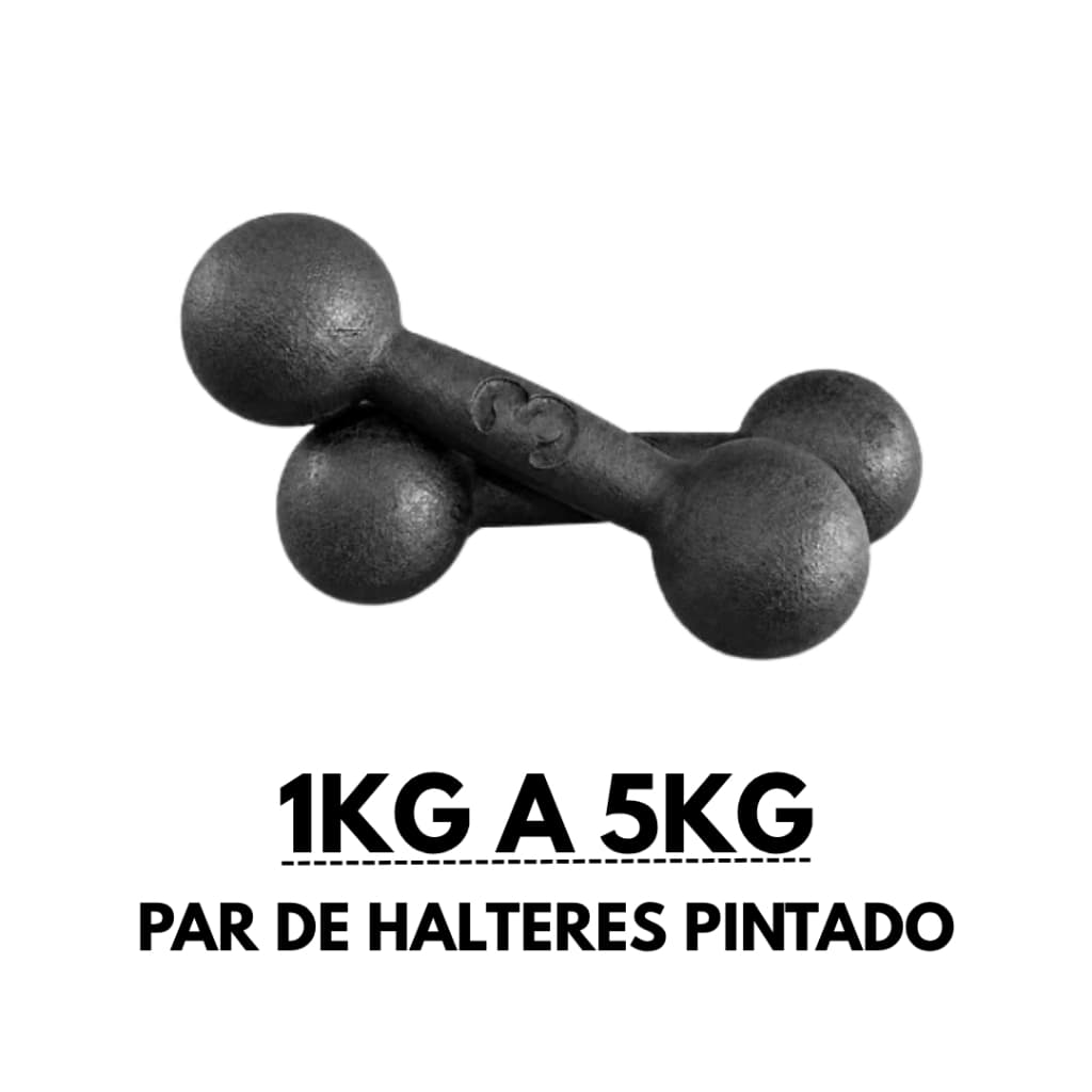 PAR Halter Bola Pintado Preto 1KG a 5KG - Academia, Fisioterapia, GYM e Calistenia Funcional