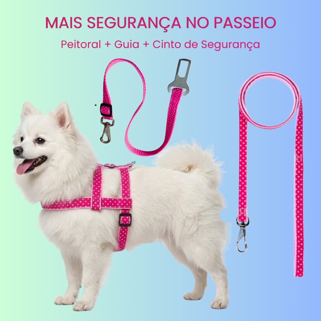 Kit Peitoral + Guia + Cinto Segurança Para Cachorro Carro