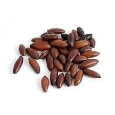 Castanha de Baru Torrada sem Sal Granel Oleaginosa Natural Snack Saudável