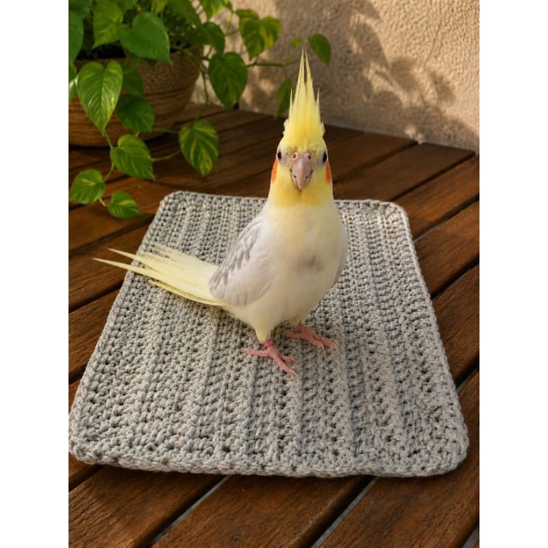Tapetinho de crochê em barbante. Ideal para forrageamento, enriquecimento ambiental, calopsita, periquito, aves menores.