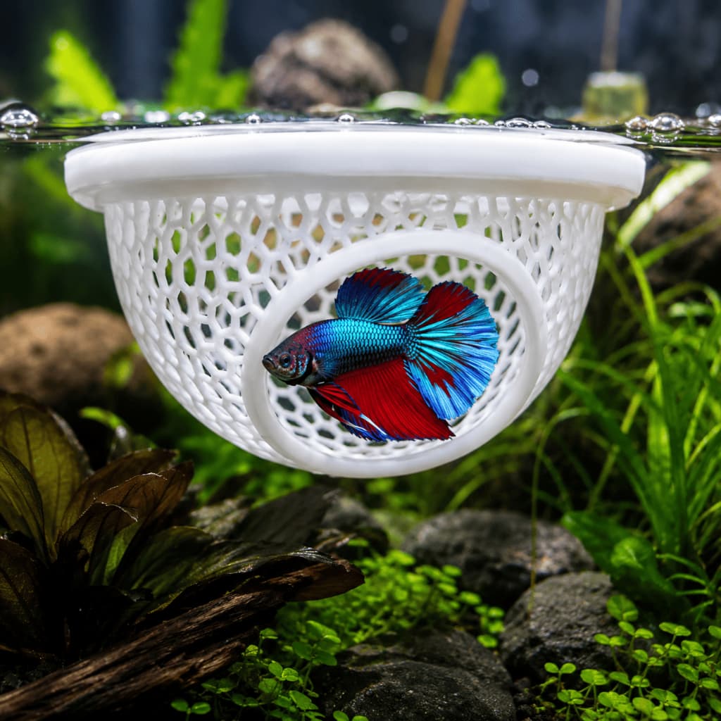Refúgio Flutuante Para Betta Toca Casinha Peixe Aquário Abrigo Descanso Decoração