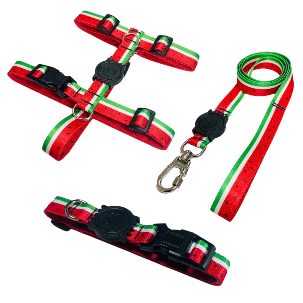 Kit Passeio Peitoral H Guia e Coleira Para Cachorros Cães Pets Melancia