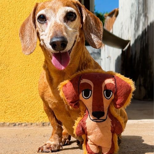 Brinquedo de Pelúcia Malcom Salsicha Para Cachorro |  brinquedo macio com apito para morder  - Petiko