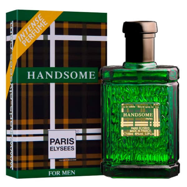 Perfume Importado Masculino Handsome - Paris Elysees - EDT - 100ml