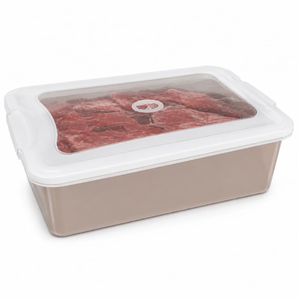 Caixa para Carne 9 Litros com Tampa Organizador Multiuso Para Casa Cozinha Lavanderia Organização Lar