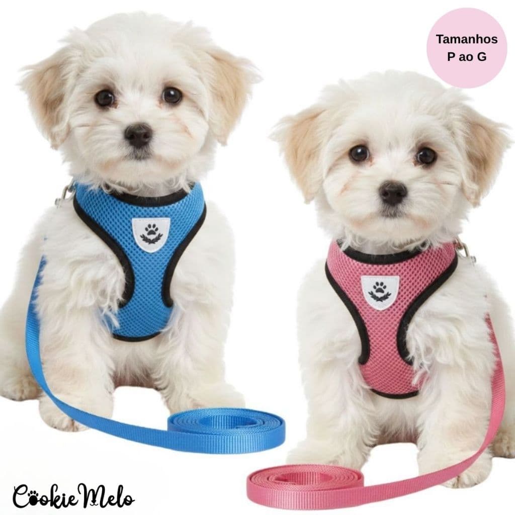 Coleira Peitoral Com Guia Regulável Pet Cachorro Gato Super Confortavel Ajustavel