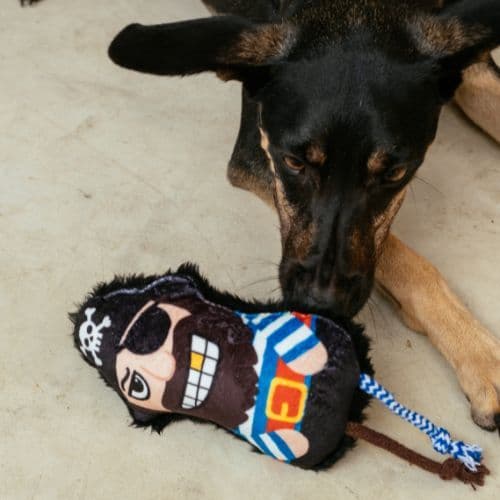 Brinquedo de Pelúcia Capitão Pulga para Cachorros | Com Apito e Corda para Cabo de Guerra - Petiko