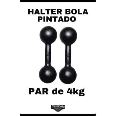 Par Halter Bola 4kg Pintado Treino Musculação Fitness Peso Livre Funcional Academia em Casa