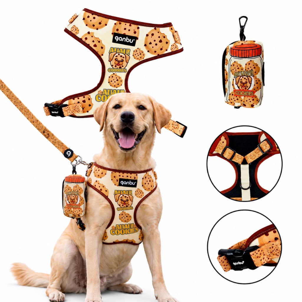 Kit Passeio Peitoral Coleira Guia Bolsa para Golden Labrador Tamanho G
