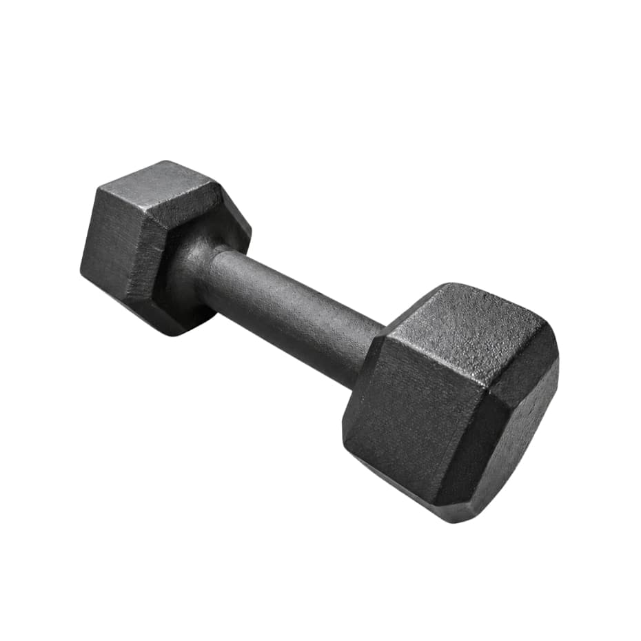 Halter Sextavado Pintado 1kg a 5kg Academia Condicionamento Físico Musculação Força Braço Bíceps