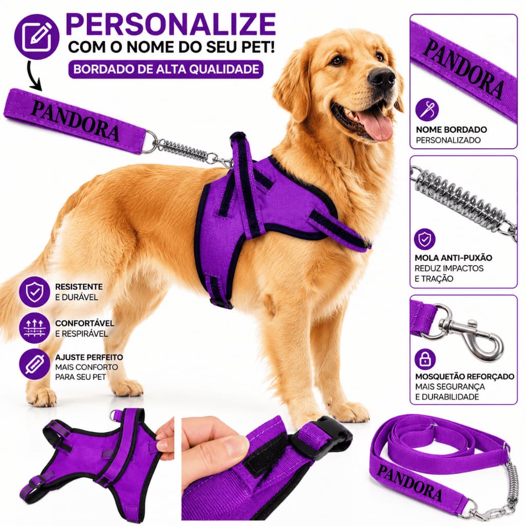 Coleira Personalizada para Cachorro com Nome Bordado + Guia Antipuxão Mola | Médio e Grande Porte