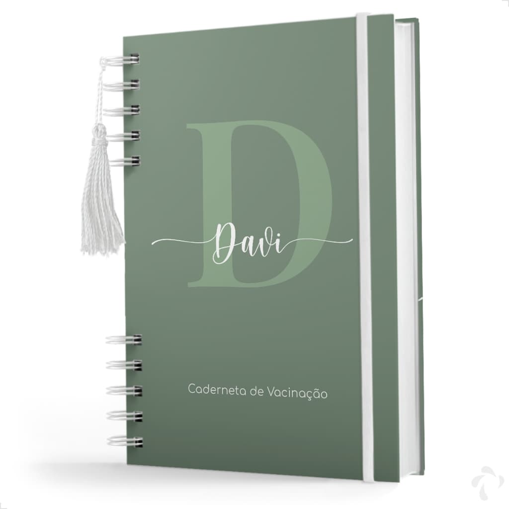Caderneta De Vacinação Menino Personalizada com Nome Capa Dura Versão Atualizada