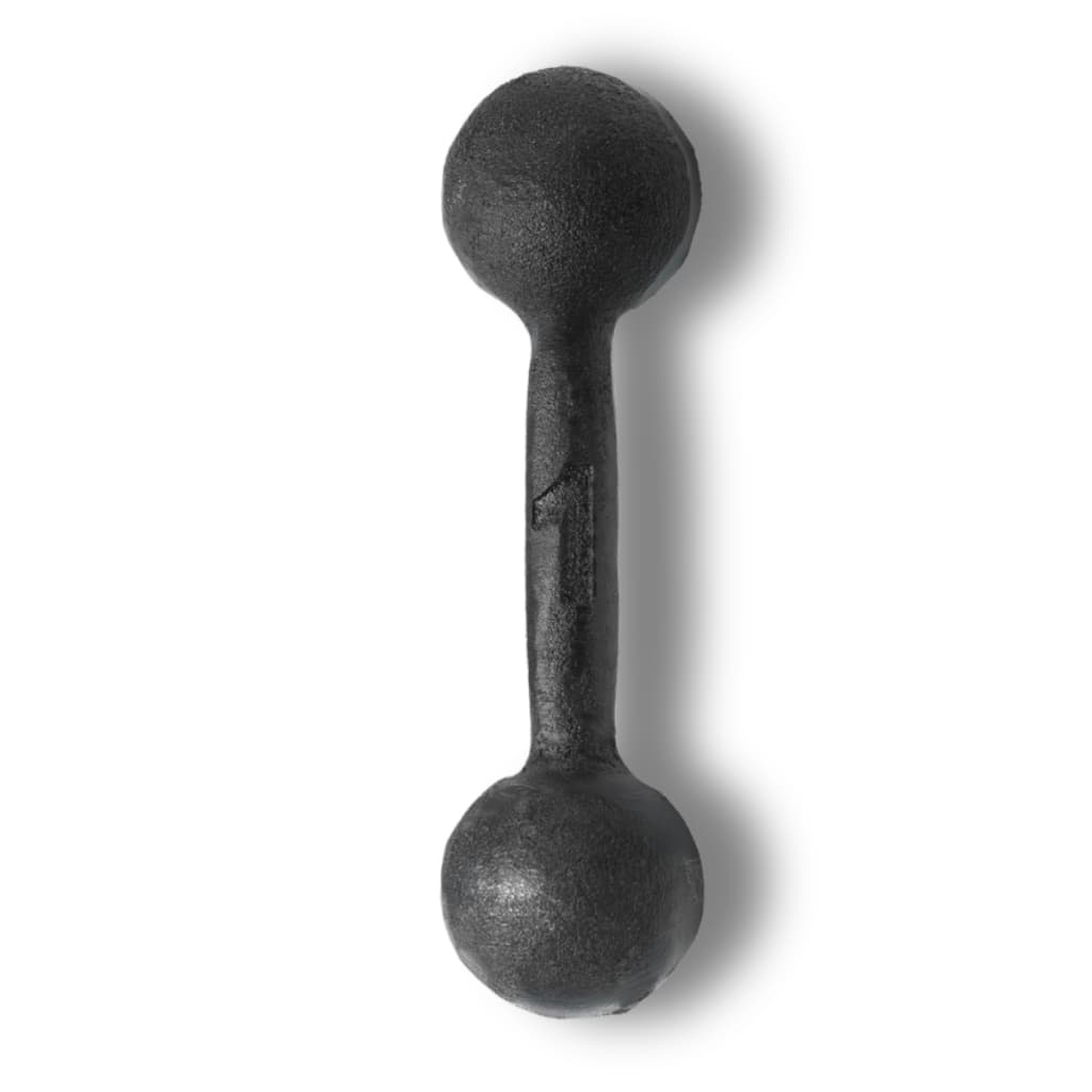 Halter Bola Pintado 1kg Musculação Treino Funcional Academia Casa Fitness Exercícios Força