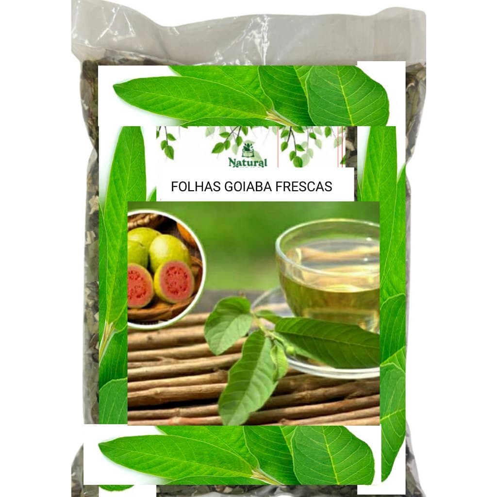 Folhas de GOIABA Frescas 100% Orgânicas Chá Aromaticas Saúde Medicinais OFERTA