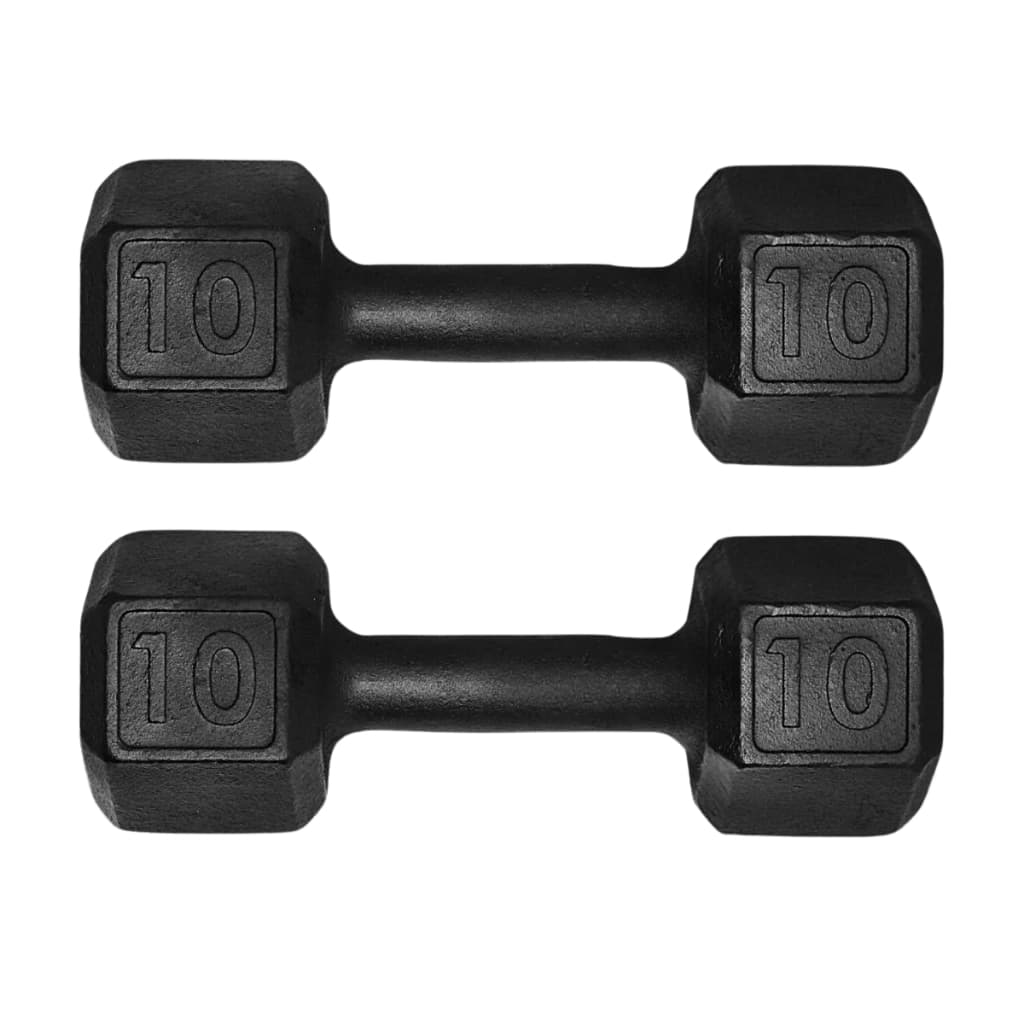 Par Halter Sextavado 10kg Pintado Para Musculação Treino Fitness Dumbbell Casa Academia