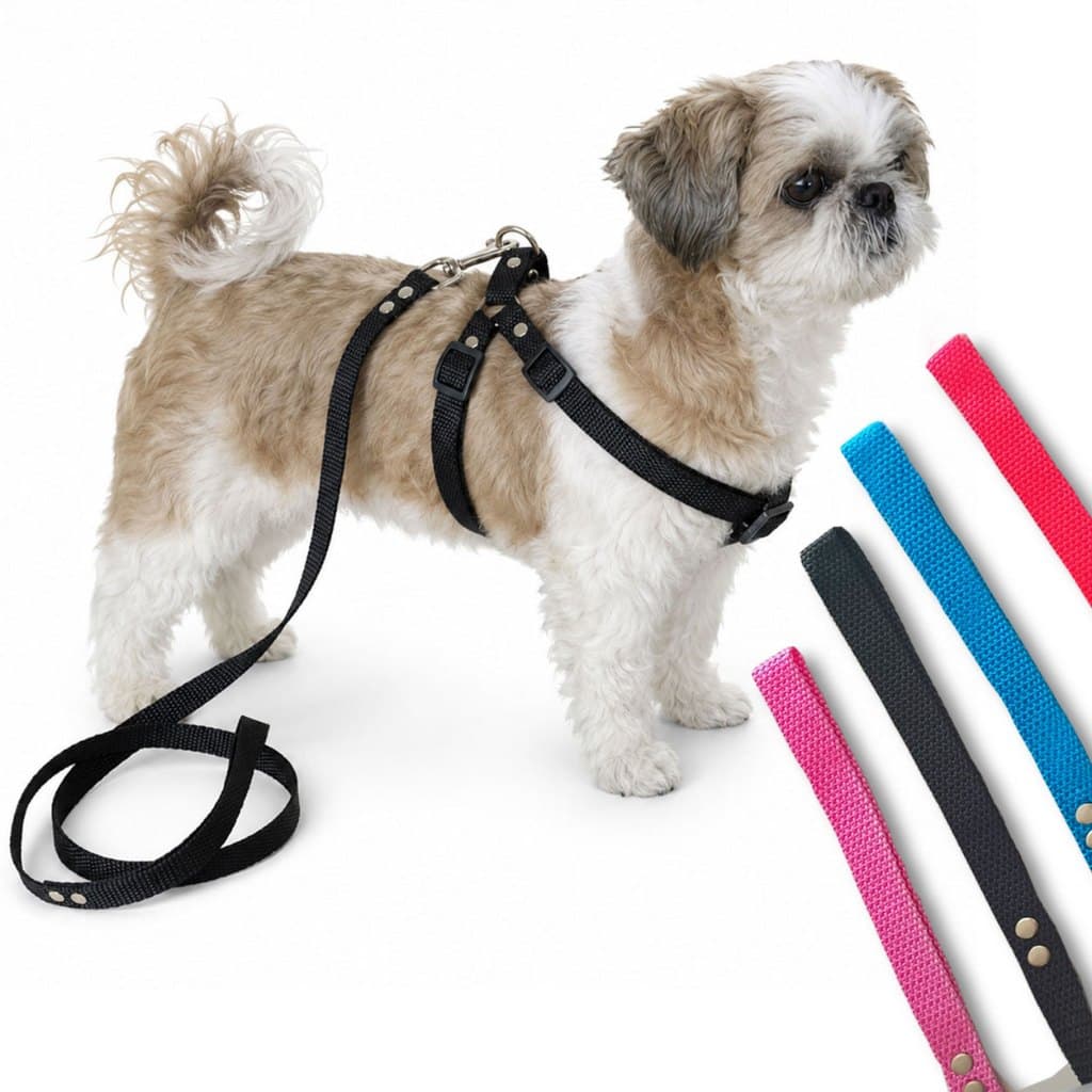 Coleira Peitoral estilo Americano + Guia, regulagem e engate rápido |Para cães Pequenos e Médios