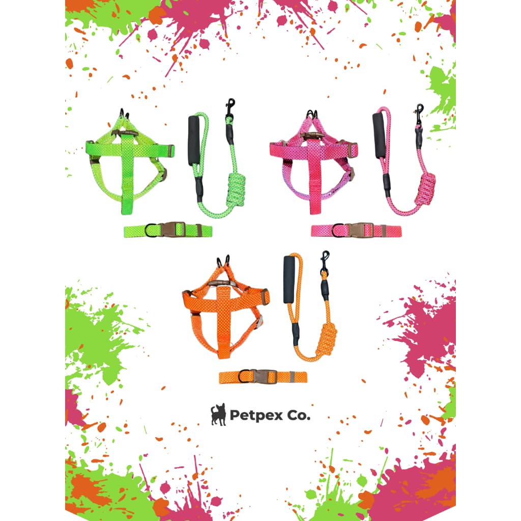 Coleira para cachorro, Kit Passeio (3 Peças - Peitoral, Coleira e Guia), Cães Pequeno e Médio Porte