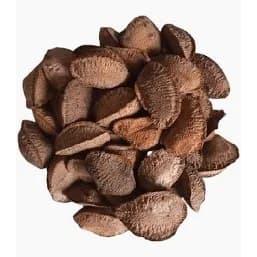 Castanha-do-Pará com Casca a Granel Oleaginosa Natural Snack Saudável Lanche Fit