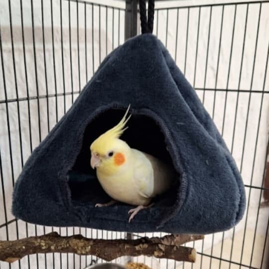Toca ninho Térmica para Pet Passarinho, Porquinho-da-Índia e Hamster casinha