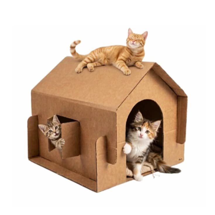 Casa Casinha Papelão para Gatos Toca Pet Resistente Divertida Confortável  Ecológica